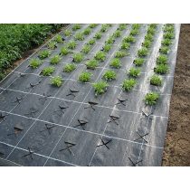 Agroszövet Fekete  3m/100 fm   100g/m2