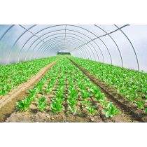 Mezőgazdasági fólia 8,5m/60m/0,15mm  UV stabil